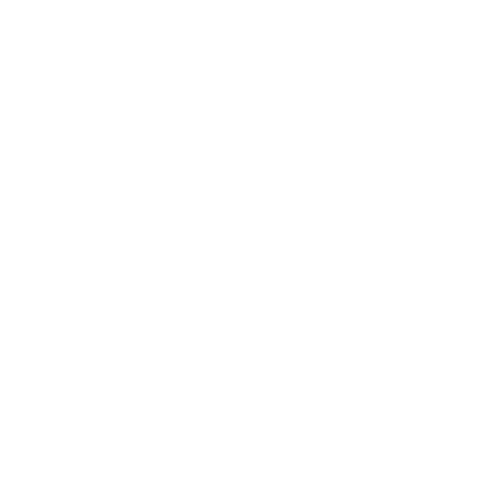 Pro Fitting